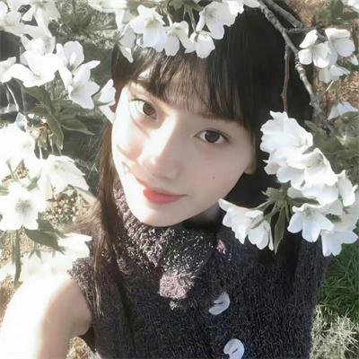 绯红结系